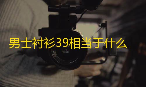 三角洲行动辅助器(免费)男士衬衫39相当于什么尺码